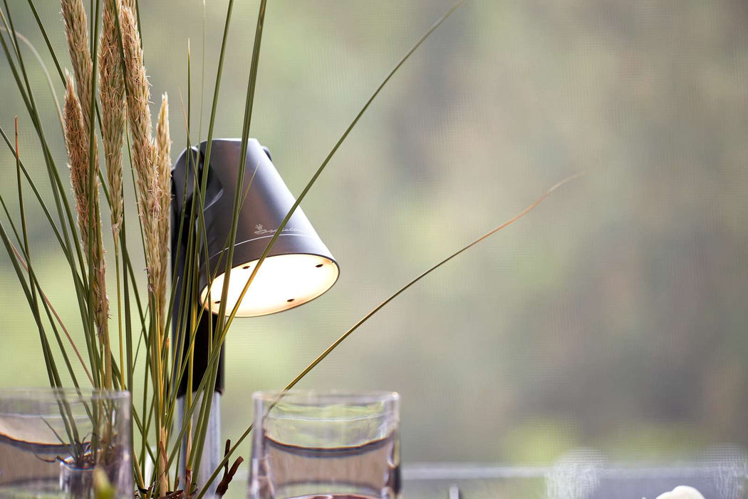 Isabella startpakke Large