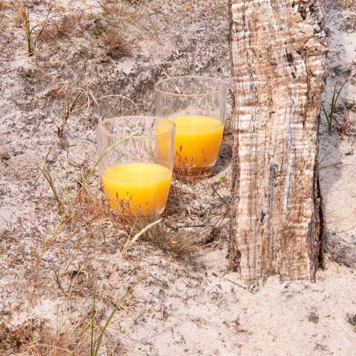 Drikkeglas i naturen