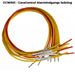 CaraControl alarmindgangs ledning
